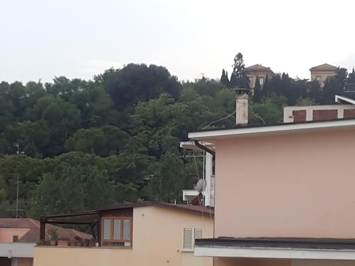 Hotel Antares Garni Giulianova Buitenkant foto
